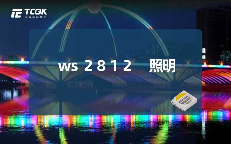 ws2812 照明